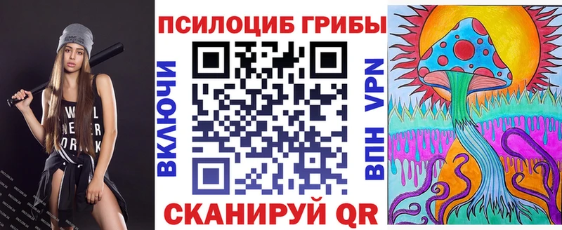 Псилоцибиновые грибы Cubensis  Полярные Зори 